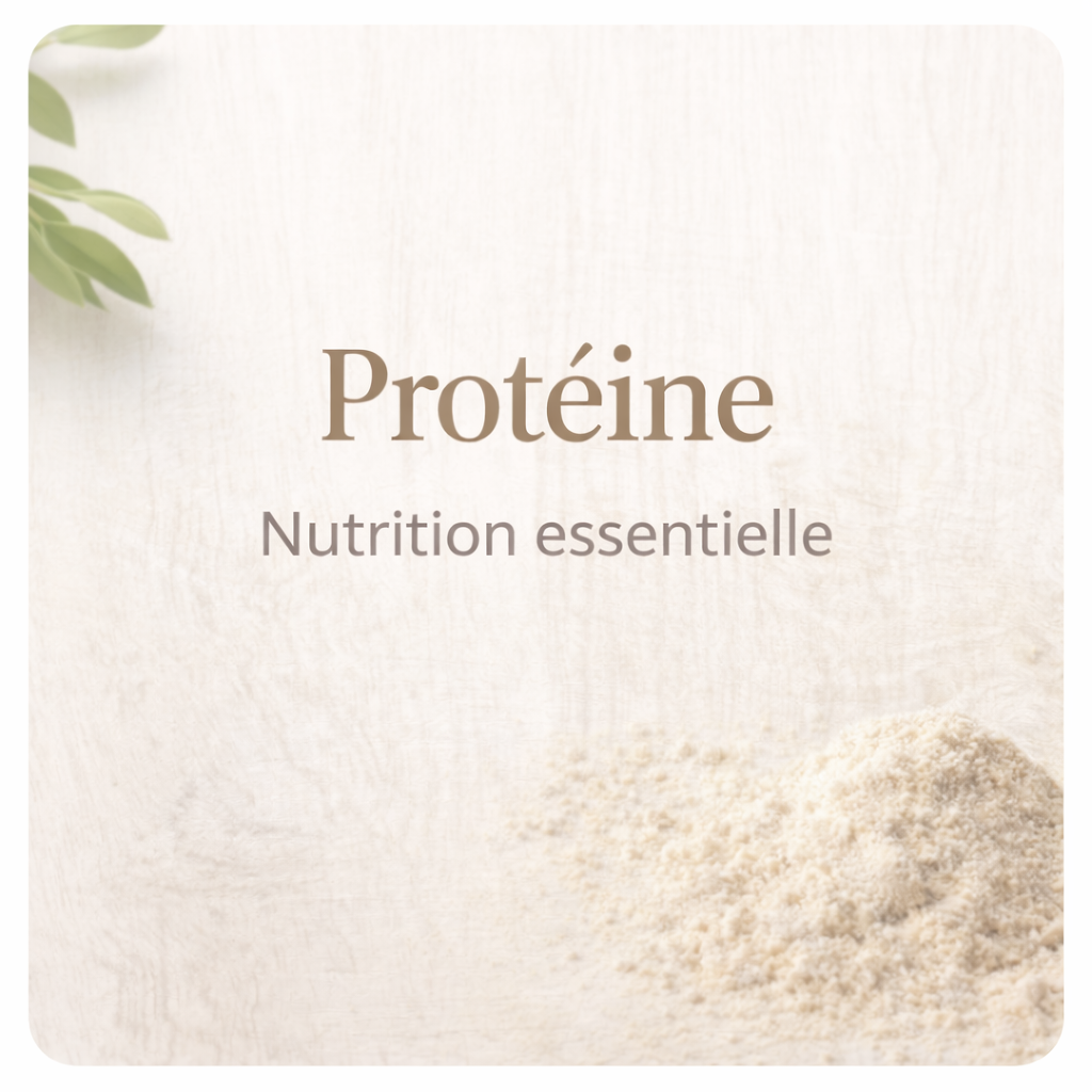 Protéines